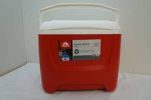 lot 42 image: Igloo cooler