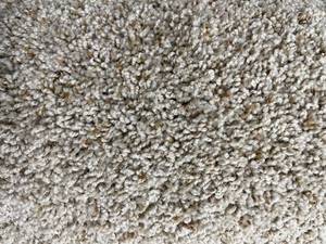 lot 418 image: 12 x 12 (144 Sq Ft) Shaw Parson Coffee Carpet