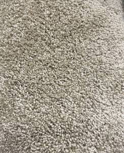 lot 421 image: 12 x 139 (165 Sq Ft) Tuftex Go Ahead Sandcastle Carpet