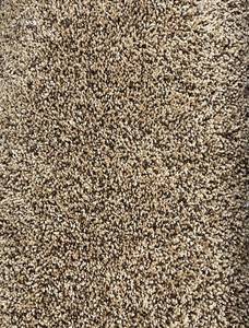 lot 425 image: 12 x 229 (273 Sq Ft) Karastan Secret Destination Hidden Treasure Carpet