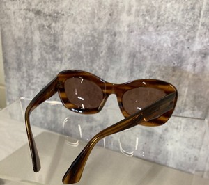Bolle Sunglasses & Case