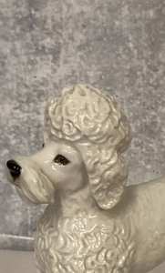 Poodle Collectible from Germany