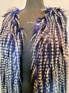Funky Faux Fur Vest