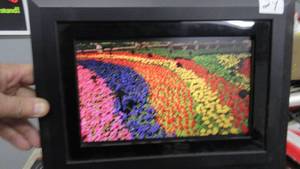 Kodak Digital Picture Frame