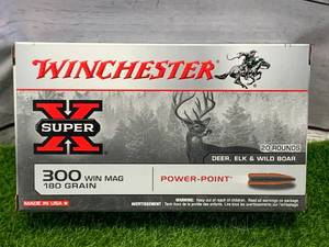 lot 8 image: 20 Rounds 300 Win Mag Ammo Ammunition