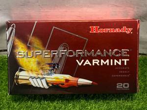 lot 9 image: 20 Rounds 22-250 Ammo Ammunition