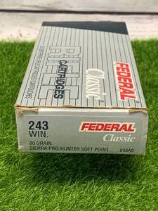 lot 72 image: 20 Rounds .243 Win Cartridges