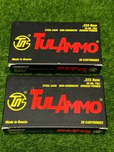 lot 75 image: 40 Rounds .223 Ammo Ammunition