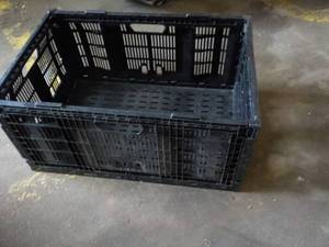 lot 7 image: 4 Plastic Collapsible Crates 24 x 1...