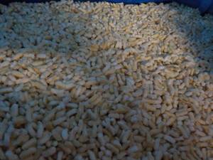 lot 237 image: Box Frozen Golden Harvest Brown Ric...