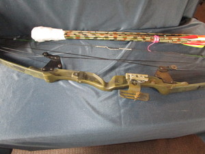 lot 119 image: Compound Bow