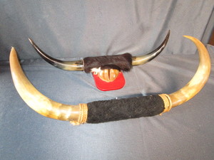lot 121 image: Cattle Horns