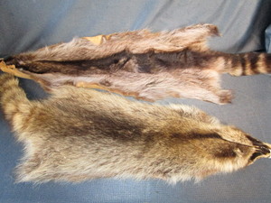 lot 126 image: Pelts