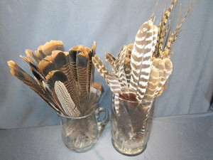 lot 146 image: Feathers
