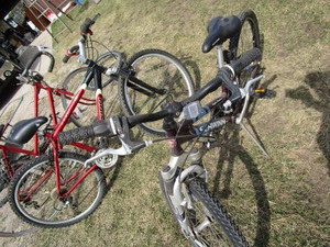 lot 50 image: Schwinn Bicycle