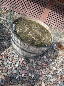 lot 234 image: Whiskey 12 Barrel Planters