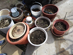 lot 238 image: Planters, Pots