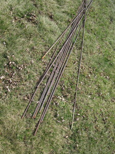 lot 249 image: Rebar 8ft