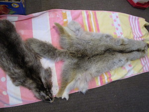 lot 88 image: Pelts
