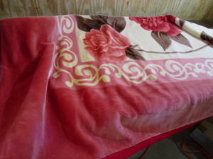 lot 483 image: Korean Plush Mink Bed Blanket