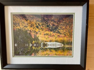 lot 108 image: 3 Framed Wilderness Photographs