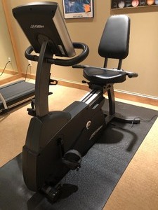 lot 51 image: Lifetime Fitness Recumbent Bike