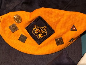 lot 56 image: Cub Scout Grouping