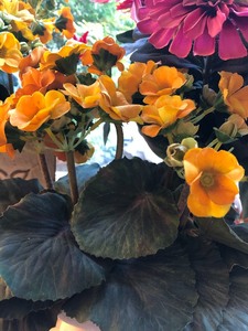 lot 179 image: 3 Faux Floral Arrangments