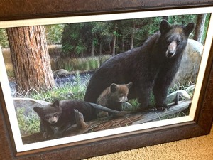 lot 62 image: Wonderful Bear Framed Bear Print