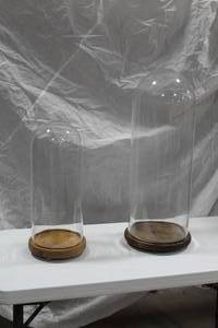 lot 501 image: Lot of (2) Restoration Hardware Glass Cloche  with Wood Base
