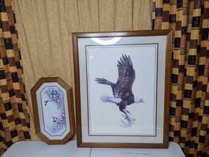 lot 245 image: Framed Bird Prints - Hummingbird and Bald Eagle