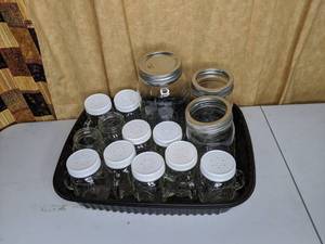 lot 250 image: Lot of Ball & Golden Harvest Mason Jars