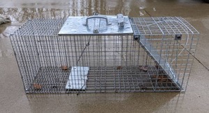 lot 372 image: Live Animal Trap