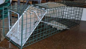 lot 357 image: Live Animal Trap