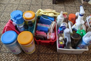 lot 140 image: Time for Spring Cleaning