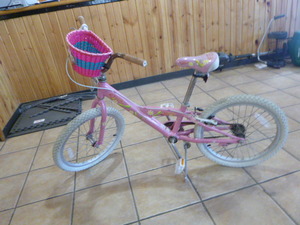 Girls Trek Mystic Bicycle