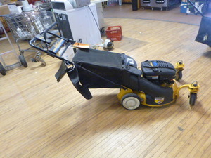 Cub Cadet Push Lawn Mower with Bagger