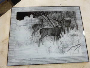 Whitetail Deer Reversed Etching