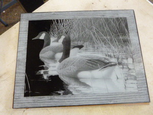 Geese Reversed Etching