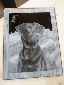 Black Labrador Reversed Etching