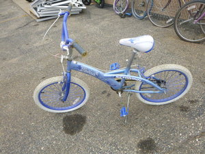 Childs Schwinn Radiant Bicycle