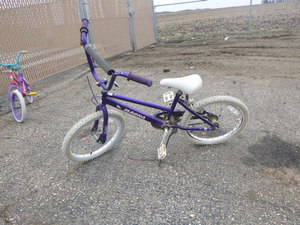 Childs Magna Bicycle