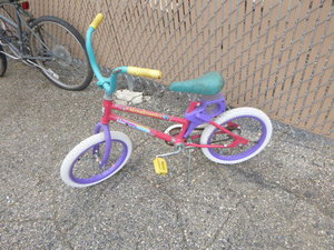 Childs Roadmaster Ocean Bicycle