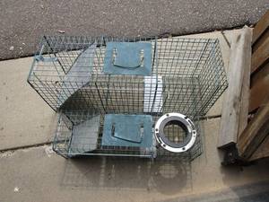2-Live Traps