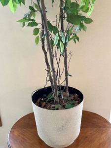 lot 23 image: Decorative Faux Tree