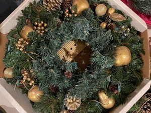 lot 287 image: 6 Wreathes and Two Storage Cases
