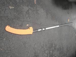 Stihl Tree Trimmer
