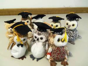 Lot of 8 Class of Graduation