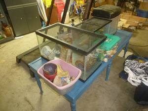 lot 98 image: Aquariums x 3
