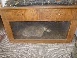 lot 117 image: Wild Badger